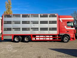 DAF XF 95.430 BERDEX  3 decks. Water, fans, Scales!...