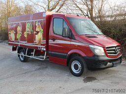 MERCEDES-BENZ Sprinter 310  Euro 5 Cold Car -33°C ATP 06/28