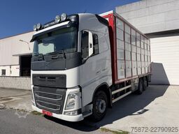 Volvo FH 13 500 6X 26T EURO 6 GANADO