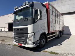 Volvo FH 13 500 6X 26T EURO 6 GANADO