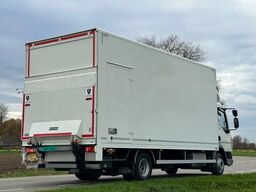 DAF LF 210 LF210.12 EURO6. 2019. 620x249x260!