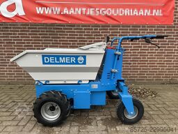  Delmer