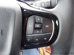FORD Transit Custom Kasten 320 L2 Trend AWD Stdhz LED