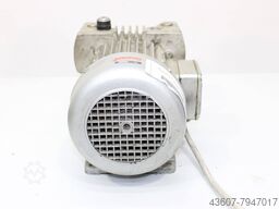 Rietschle TLV 15 (01)