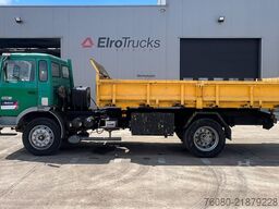 Renault S 170 (10 BOULOTS / POMPE MANUELLE / LAMES / MA...