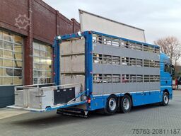 MAN TGX 26.440 6x2*4 - 3 deck Livestock - Water & V...