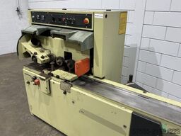 SCM Sintex