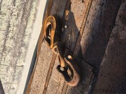 Mol MOL CY NV 1214/20T/37 Palfinger PK44002