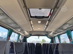 TEMSA 8 units Prestij SX,Novo Lux, Daily, Atego