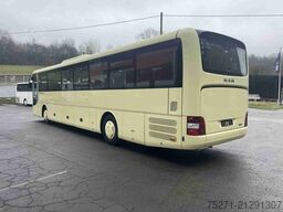 MAN R61 Lion's Intercity C | 6 Fahrzeuge