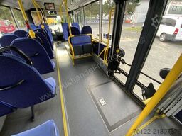 MAN A 23 Lions City