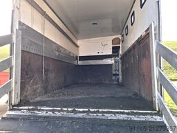 Volvo FL 180 Horses Transport