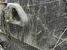 MAN TGX 18.480 Unfallschaden/damaged Retarder