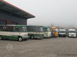 MERCEDES-BENZ 30 Sitzer Schul- Transferbus 519 Vorlauffahrzeug