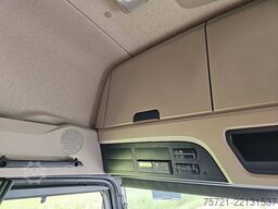 MERCEDES-BENZ ACTROS 1853 LS GIGA,durabright