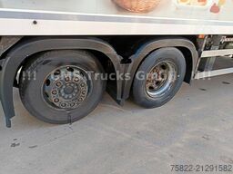 MERCEDES-BENZ Antos 2543 / Frigo Cool / Load 14,3ton