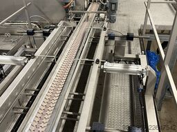 Samifi PLATEMATIC FL2-S-31