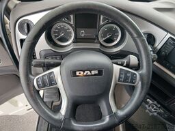 DAF XF 530 FT SC Hydr. VA-Antrieb: Paul PXP