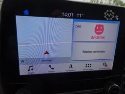 FORD Transit Kasten L3H2 Trend 185PS Autm. Standhzg.