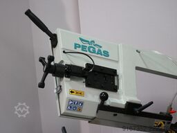 Pegas Gonda 230x280 GH-LR
