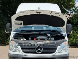 MERCEDES-BENZ Sprinter 313 Cdi Maxi Flex-i-Trans 9 Sitze+Lift