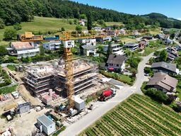 Liebherr 80EC-B 8