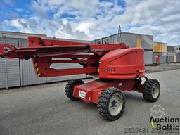 ATN Zebra 16