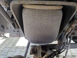 MAN 15.290 BDF, 2 x Bett, Klima, Standheizung