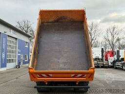 MAN TGS 18.360 4x4 Kipper Kran PALFINGER Winterd.