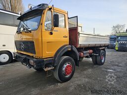 Mercedes-Benz 1719 AK 4x4 V6 Steel/Steel Manuell Dreis