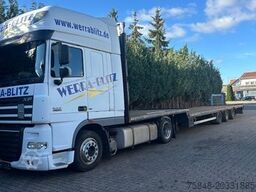 Jürgen Neydorff Jürgen Neydorff Jürgen Neydorff