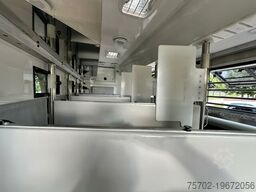 DAF XF 530 Interfaller 5-6 Pferde Popout PopUp