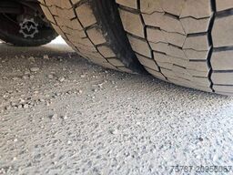 SCANIA R500, Retarder, Navi, Standklima, 19.000 Kg