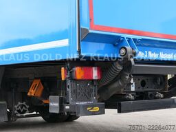 MAN TGM 15.290 Koffer Kamera Navi LBW Euro 6
