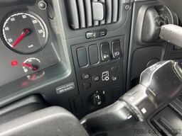 SCANIA P 250 4X2, EDSCHA-VERDECK, VOLL-LUFT, E6, JUMBO