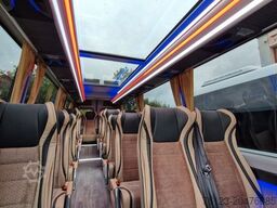 MERCEDES-BENZ 519 und 517 Glasdach XXL  20 Sitze Stock