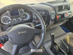 DAF 120-22 CELLA FRIGO 5 M SPONDA ATP 20