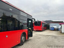 MERCEDES-BENZ O 530 Citaro Facelift LE  3-Türen  Klima EEV