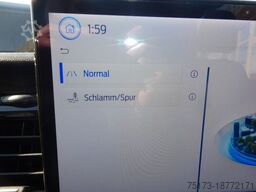 FORD Transit 350L3H2 Trail 4x4 Navi Stndhz. en