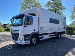 DAF CF 260 FA