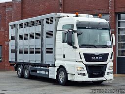 MAN TGX 26.480 6x2*4 - Menke 3 deck livestock 50.40...
