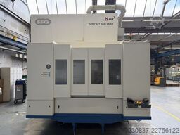 MAG / FFG MAG SPECHT 500 DUO LIMO PW