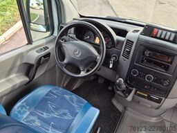 MERCEDES-BENZ Sprinter 516, Daily, Crafter