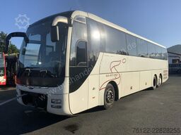 MAN R 09 Lions Coach C