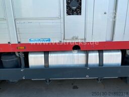 DAF XF105 6x2 LL 3.Stock Menke Hubdach/Rampe/Tränke