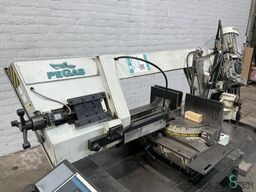 Pegas-Gonda 300x320 SHI-LR