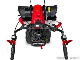 SCHORR RR1000KB Motorbesen inkl. Zubehör