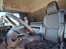 Scania P410 LA4x2MNA