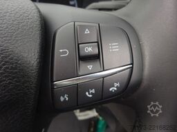 FORD Transit 350L3H2 TRAIL LKW 4x4 Stndhzg BiXenon