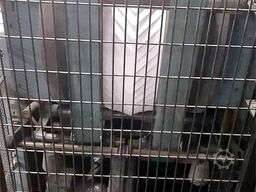 Winkler + Dünnebier 26 FF